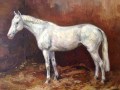 Caballo arabe blanco de G. Trincot